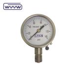 Radial Dry Stainless Steel Pressure Gauge 60mm Back Mounting