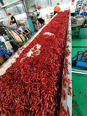 Air Dried Tianjin Red Chilies Medium Hot Stemmed Dried Chile Pods