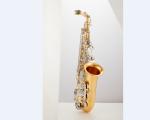 With Durable Reed Mouthpiece Cap Portable Little Sax Mini Sax Saxophone Alto