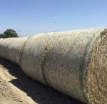 HDPE white color bale wrap net