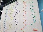 5 Passenger Capacity Fiberglass Climbing Holds for Outdoor and Indoor Sports