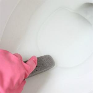China Natural Pumice Stone Toilets Cleaning Brush With Long Handle Stone on sale