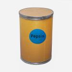 3000NF/Mg Pepsin Enzyme Pepsin Powder Customized Enzyme Activity