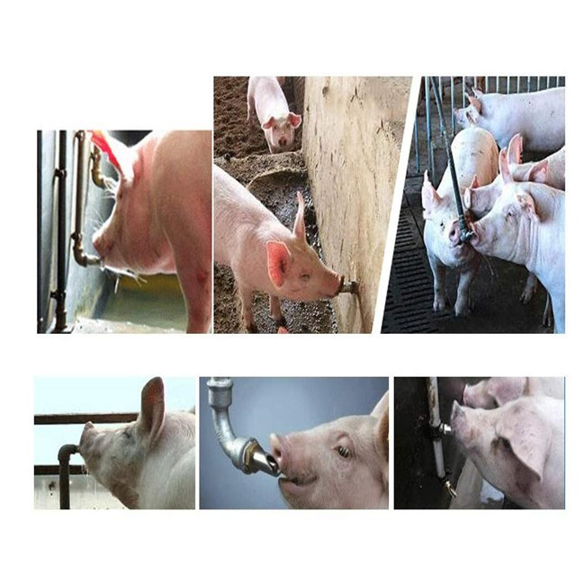 1/2" NPT Automatic Pig Drinker Stainless Steel Hog Nipple Waterer