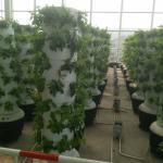 Home Garden vertical Grow Kit tower garden aeroponics system DIY Aeroponic