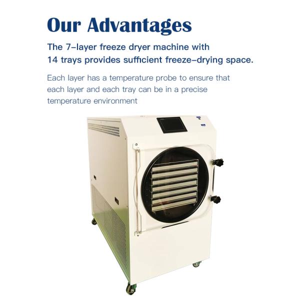 Industrial Freeze Dryer with Embraco Compressor &-55°C Cold Trap Temperature