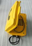IP67 Heavy Duty Industrial Broadcast Telephone With Beacon And Flashing Lamp