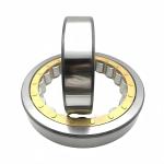 100*180*34mm NU/NJ/NF220EM Cylindrical Roller Bearing with Chrome Steel Gcr15