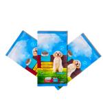Food grade packaging bag for storage, plastic pet food pack bag, back heat seal