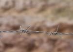 Use Of Prison Walls Twist 3or 4inch Barb Distanc Hot Dipped Galvanized Barbed