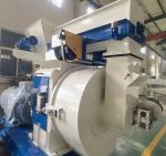 Large Capacity 15t/h Biomass Wood Pellet Machine Granulating Production Machine