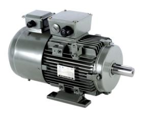 China Inverter Duty Induction Motor 3 Phase Aluminum wholesale