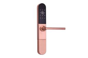 China Smart Lock Door zinc Alloy App Control Smart Aluminium Door Locks For Sliding Door wholesale