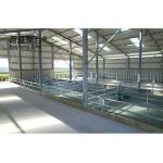 Steel Structure Prefab Farm Building for Cow Barn Sheep/Cattle/Dairy/Goat House