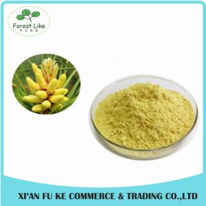 China Pure Natural Meadow Pine Extract Powder 4:1 - 20:1 wholesale