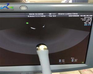China 4D Ultrasound Probe Repair Dome Oil And Sealing GE RIC6-12-D Array Replacement wholesale