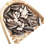 wholesale cheap price barkey grade China sunflower seed kernel Best seller on