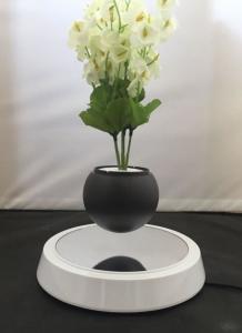 China new magnetic floating levitated air bonsai planter wholesale