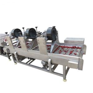 China Central kitchen fruit and vegetable washing machine clean vegetable food processing production line wholesale