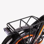 500W 20 Inch Fat Tire Ebike Foldable For Adults RICH BIT TOP-016