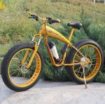 Brushless 26 Inch 1000w MTB Electric Bikes