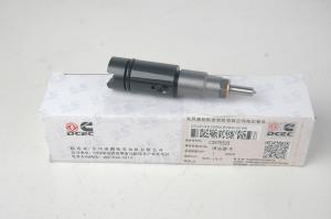 China L8.9 Auto Engine Parts Diesel Engine Injector 3975929 1 Year Warranty wholesale