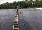 Thickness 3mm Hdpe Textured Geomembrane Sample Free Material Liner