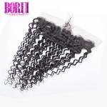10a Grade Deep Curly Brazilian Hair Lace Frontal Pre Plucked Swiss Lace