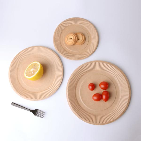 18cm Round Disposable Shatter Proof Kraft Paper Plate Biodegradable White Paper