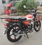 Customized 50cc 70cc 110cc Street Bike Motorcycle Four Stroke Air Cooled