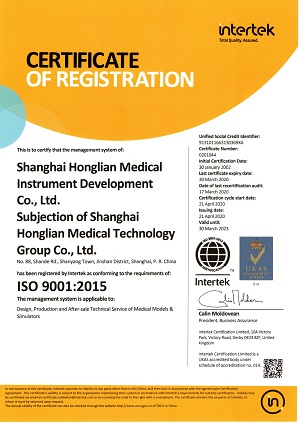 ISO PVC Male Urethral Catheterization Simulator