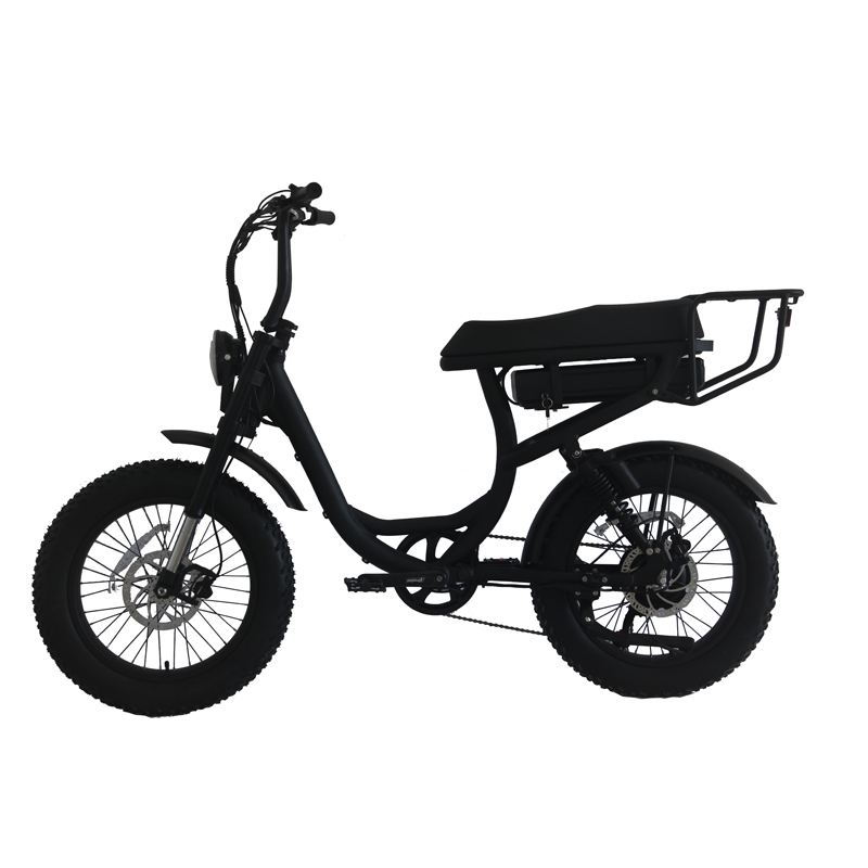 Electric Bicycle 48v 20 Inch Adult E Bike Customized Aluminum Alloy Frame 2022 Mountain
