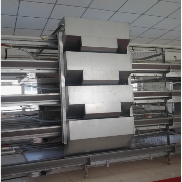 Fully Automatic 4-Tier H-Type Battery Cage with Hot-Dip Galvanized Steel for Layer Hens and Broilers