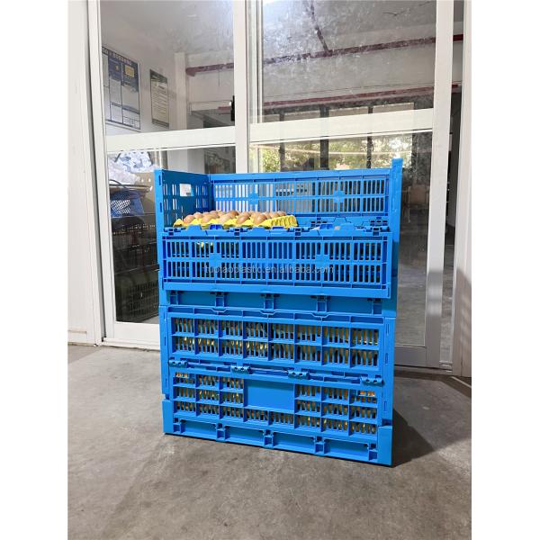 Customized Logo Blue Egg Storage Box Refrigerator for Modern Chicken Grid Drawer Type