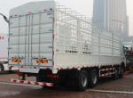 50T Capacity 450hp SINOTRUK HOWO A7 8x4 Box Stake Truck / Cargo Lorry Truck