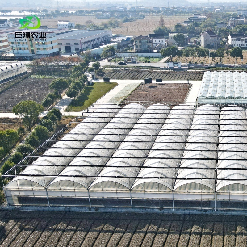 Single/Multi Span Film/Sun Board Greenhouse