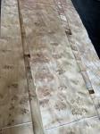 High Quality Mappa Burl Veneer Sheet For Furniture Decoration