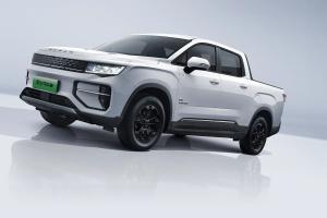 China Geely Radar RD6 Electric Pickup Truck Long Range 410km New Energy Vehicles wholesale