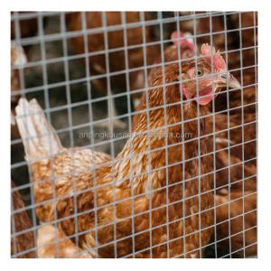 China 1mx30m Welded Mesh Cages for Chicken Galvanized and Pvc Coated Budget-friendly Choice wholesale