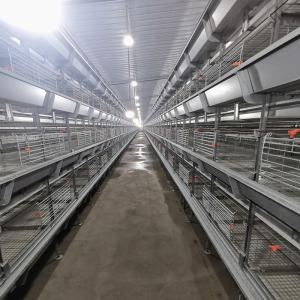 China H Type 6 Tiers Automatic Broiler Feeder 1800x1200x410mm wholesale