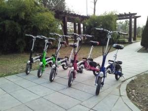 China 220w Alloy Folding Electric Bicycle/Electric Scooter wholesale