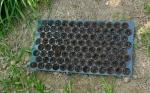 50 cells Plastic blister thermoforming vacuum PVC flower tree seedlings