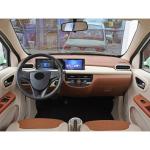 Smart 2 Seater Electric Car With Bright Color 30KW For Young People