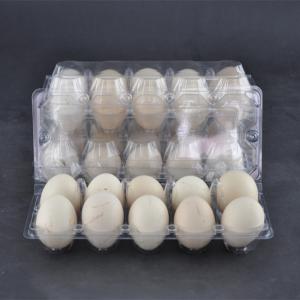 China 10 Cavities Clear Plastic Egg Cartons PET Disposable Egg Plastic Box Clear wholesale