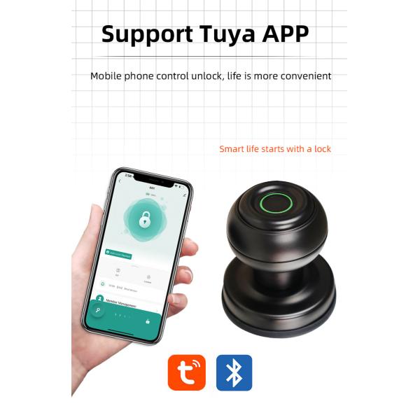 Compatible Door Knob Smart Lock OEM Tuya Electronic Door Locks