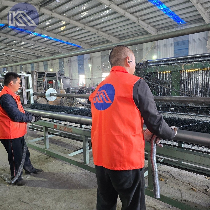 Galvanized And PVC Coated Gabion Wire Mesh Durable And Flexible For Foundation Support