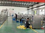Industrial Rice Packaging Machine Automatic Granule Packing Machine