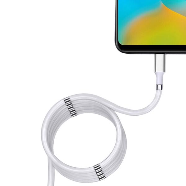 Fast Charging 2.4A USB 2.0 Type C Cable 3ft USB C Magnetic Data Cable