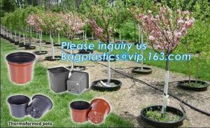 China plastic pots for nursery plants clear orchid pots photo,1, 2, 2.5, 3, 5, 7, 10 gallon nursery plastic flower pot,plantin wholesale