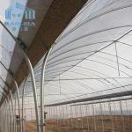 Single Span Greenhouse Tunnel Plastic Film Covering Flower Vegetable Support